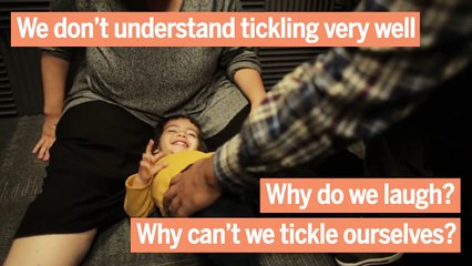 Ticklish rats help pinpoint tickle center in the brain