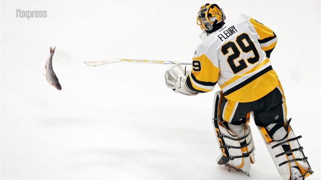Des lancers de poissons-chats perturbent des matchs de hockey