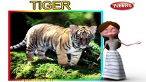 Tiger | 3D animated nursery rhymes for kids with lyrics | popular animals rhyme for kids | Tiger song | Animal songs | Funny rhymes for kids | cartoon | 3D animation | Top rhymes of animals for children