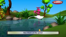 Crane | 3D animated nursery rhymes for kids with lyrics | popular Birds rhyme for kids | Crane song | bird songs | Funny rhymes for kids | cartoon | 3D animation | Top rhymes of bird for children