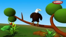 Eagle | 3D animated nursery rhymes for kids with lyrics | popular Birds rhyme for kids | Eagle song | bird songs | Funny rhymes for kids | cartoon | 3D animation | Top rhymes of bird for children