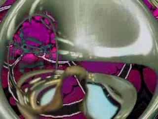 InnerDreamer_Into the wild wild Sweetness (Part II)