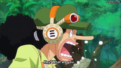 Nami Gets New Weapon from Usopp! - One Piece EP#7