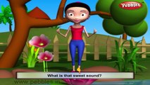 Humming Bird | 3D animated nursery rhymes for kids with lyrics | popular Birds rhyme for kids | Huming bird song | bird songs | Funny rhymes for kids | cartoon | 3D animation | Top rhymes of bird for children