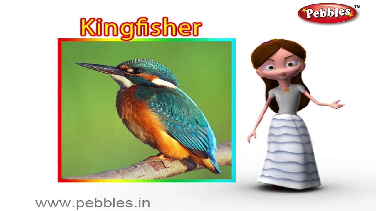 Kingfisher | 3D animated nursery rhymes for kids with lyrics | popular Birds rhyme for kids | Kingfisher song | bird songs | Funny rhymes for kids | cartoon | 3D animation | Top rhymes of bird for children