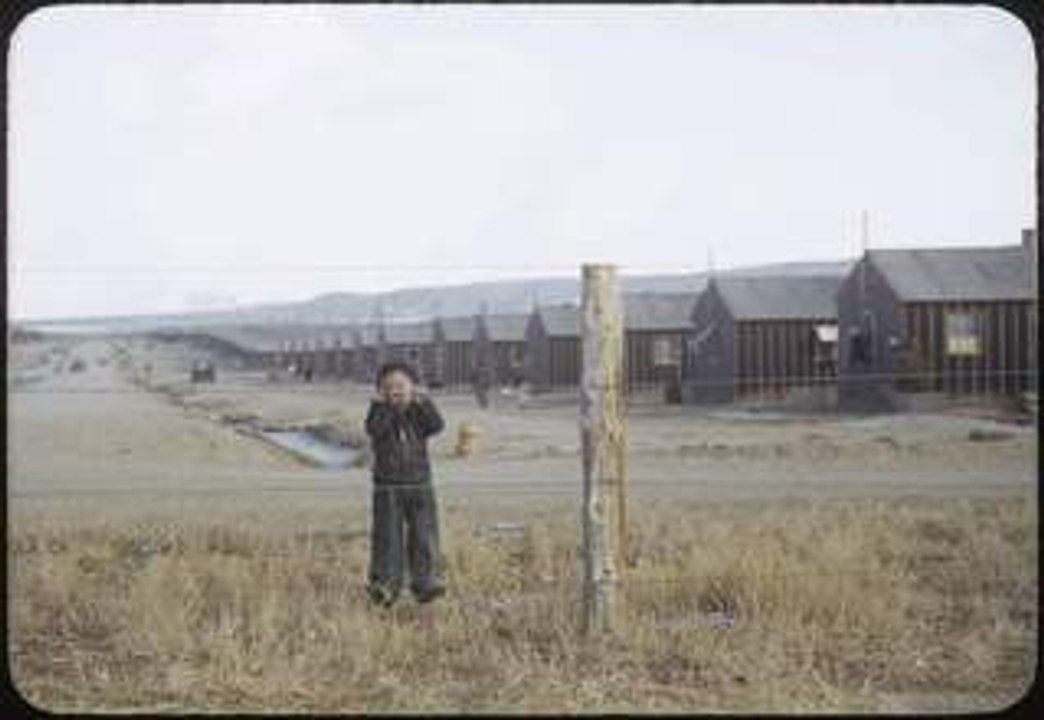 Un Américain dans les Camps pour Japonais : Bill Manbo (2015)