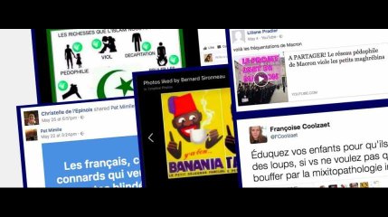 Front national : Des candidats aux législatives épinglés pour leurs propos racistes sur les réseaux sociaux (vidéo)
