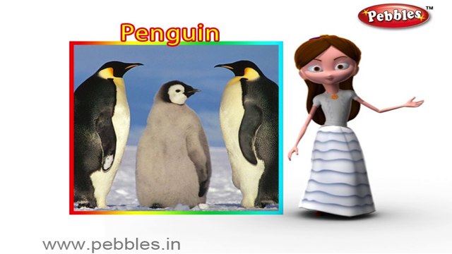 Penguin | 3D animated nursery rhymes for kids with lyrics | popular Birds rhyme for kids | Penguin song | bird songs | Funny rhymes for kids | cartoon | 3D animation | Top rhymes of bird for children