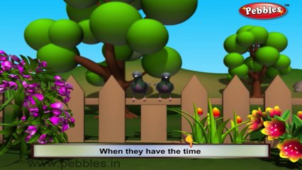 Pigeon | 3D animated nursery rhymes for kids with lyrics  | popular Birds rhyme for kids | Pigeon song | bird songs |  Funny rhymes for kids | cartoon  | 3D animation | Top rhymes of bird for children