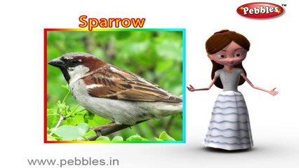 Скачать видео: Sparrow | 3D animated nursery rhymes for kids with lyrics  | popular Birds rhyme for kids | Sparrow song | bird songs |  Funny rhymes for kids | cartoon  | 3D animation | Top rhymes of bird for children