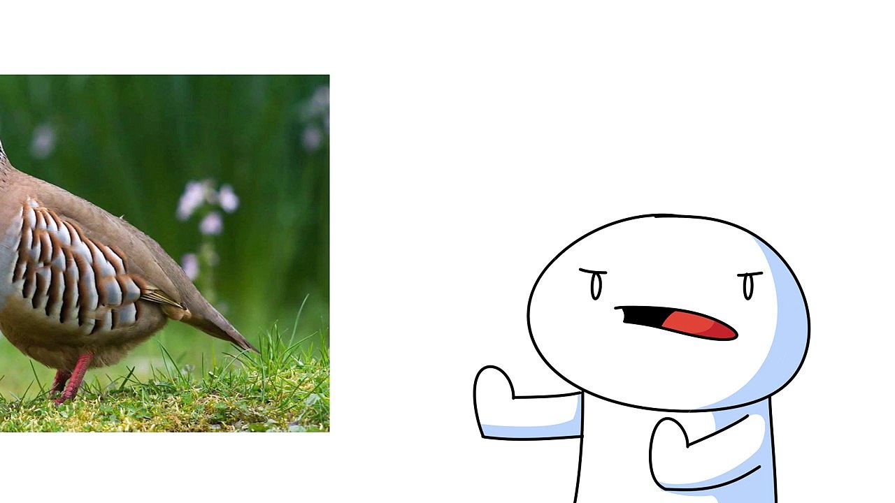 Una y una en un tiene una un en y animación presupuesto Navidad días de en theodd1sout 12