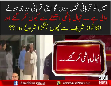 Why Nehal Hashmi Taking U-TURN Over Resignation