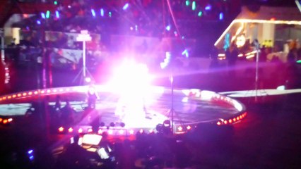 Melha Shrine Circus: Small Dog Act, stands on one paw 2017