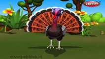 Turkey | 3D animated nursery rhymes for kids with lyrics  | popular Birds rhyme for kids | Turkey song  | Birds songs | Funny rhymes for kids | cartoon  | 3D animation | Top rhymes of Birds for children