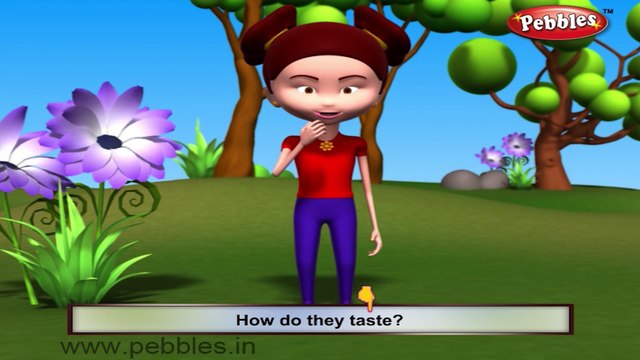 Woodpecker | 3D animated nursery rhymes for kids with lyrics | popular Birds rhyme for kids | Woodpecker song | bird songs | Funny rhymes for kids | cartoon | 3D animation | Top rhymes of bird for children