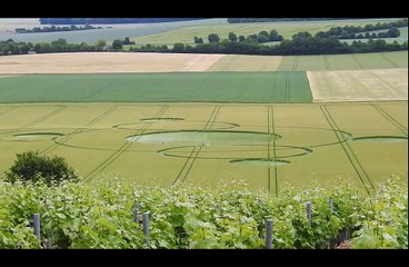 Un crop circle à Crézancy-en-Sancerre