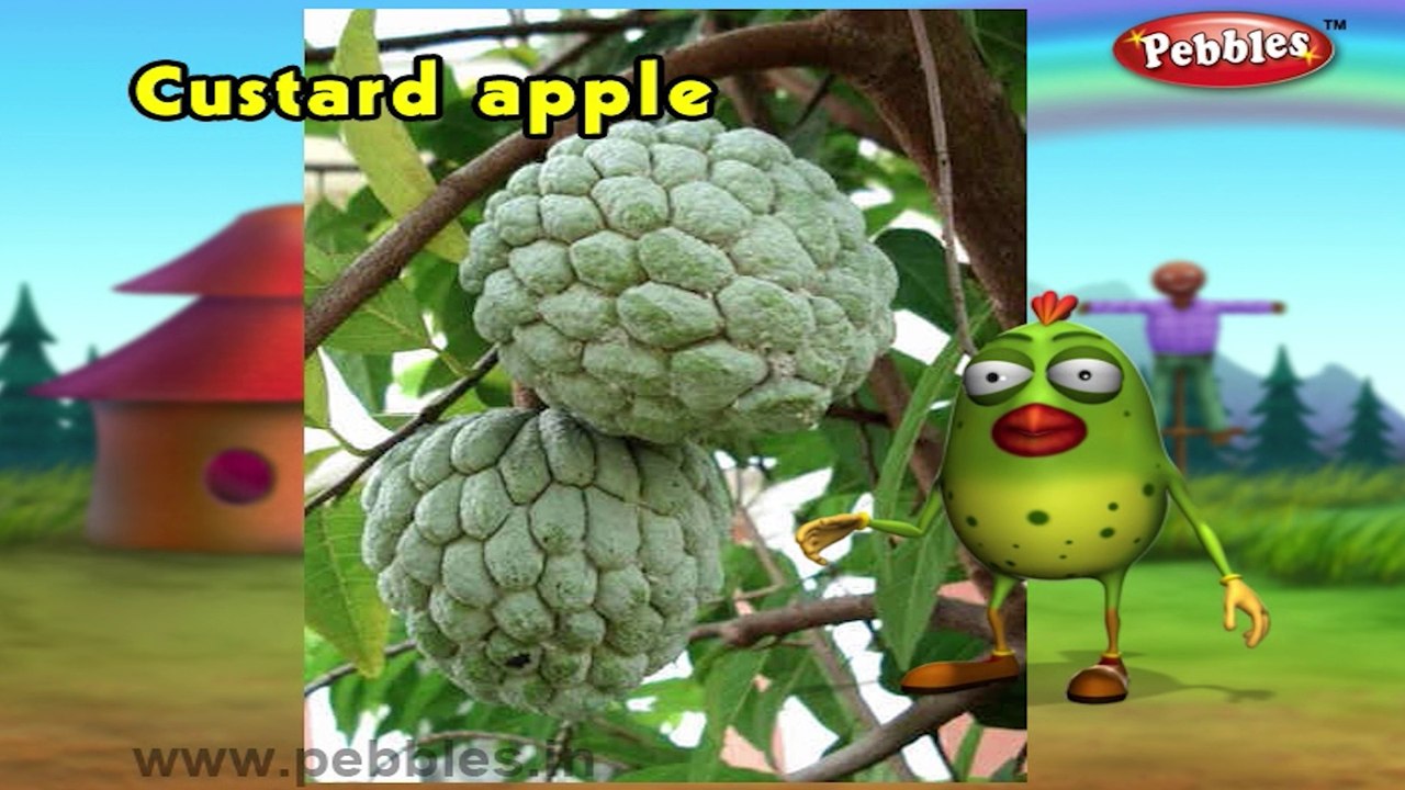 Custard Apple | 3D animated nursery rhymes for kids with lyrics  | popular Fruits rhyme for kids |Custard apple song | Fruits songs |  Funny rhymes for kids | cartoon  | 3D animation | Top rhymes of fruits for children