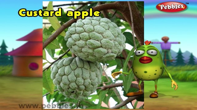 Custard Apple | 3D animated nursery rhymes for kids with lyrics | popular Fruits rhyme for kids |Custard apple song | Fruits songs | Funny rhymes for kids | cartoon | 3D animation | Top rhymes of fruits for children
