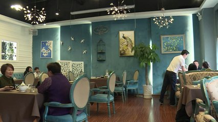 Les nids d'hirondelle, de la Birmanie aux tables de Shanghai