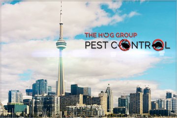 CleanRest Pro Encasement | Bed Bug Mattress Encasements | Sale | Order Now!
