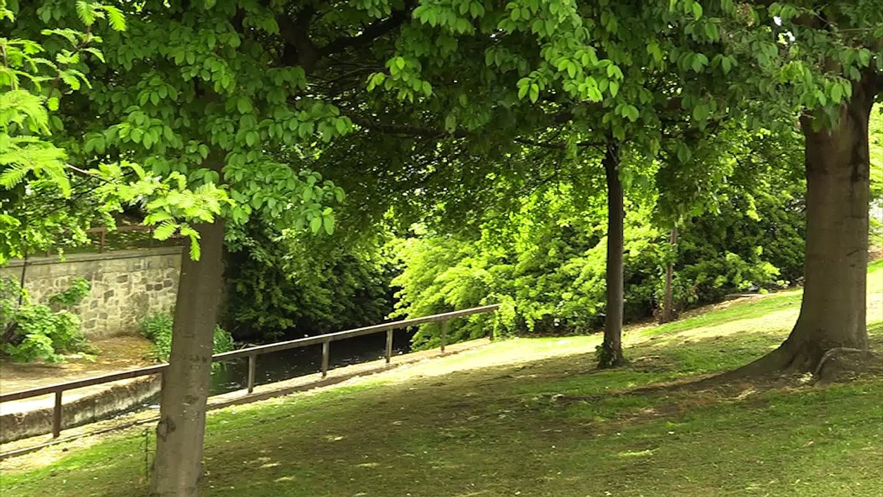Teesside News 8:30pm - 5th June
