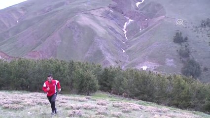 Dağların Aslanı" Avrupa'da 7. Kez Zirve Peşinde