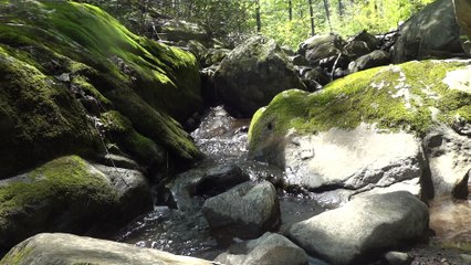 Water Flowing Through Rocks