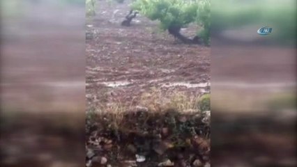 Bekilli'yi Sel, Acıpayam'ı Yıldırım Vurdu