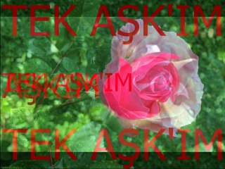 Zeki Müren-Böyle Bir Kara Sevda