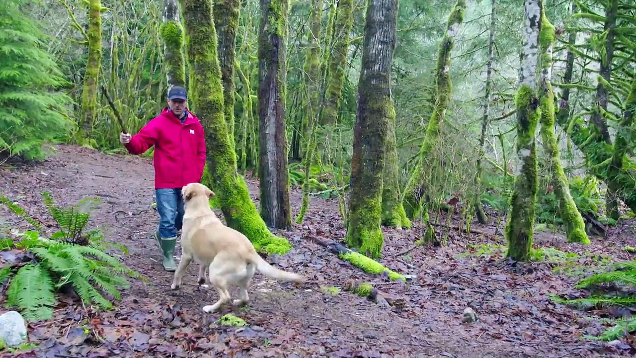 159.Helly Hansen Men