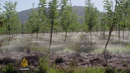 Surviving drought in South Africa - earthrise