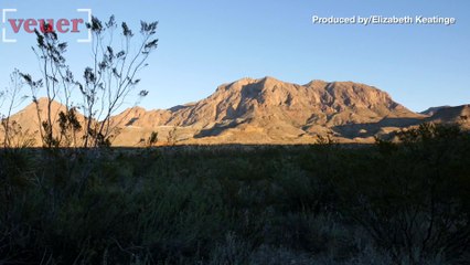 Outrage at Trump's Proposed Border Wall Near Texas National Park