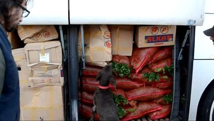 Jandarma Ekipleri Kula'da Uyuşturucuya Geçit Vermedi