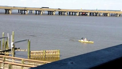 A creature approaches silently behind the kayak. What happens is chills