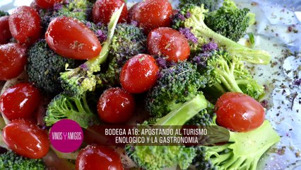 Vinos y Amigos Programa 159 Bloque 3