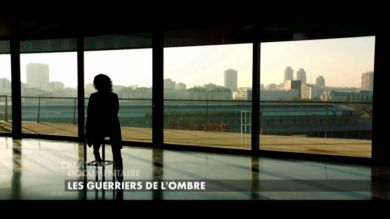 Bande-Annonce du documentaire Les Guerriers de l'Ombre