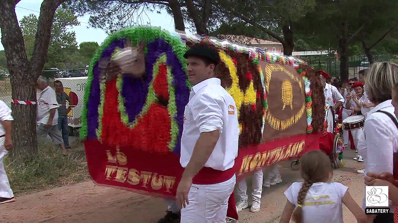 2017 - Castelnau De Guers - Total Festum Animaux Totems