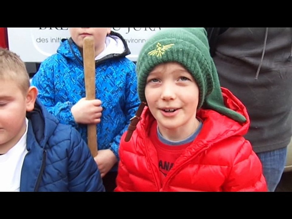 14_Les petites bêtes du sol_Fev2017