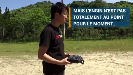 Cette voiture volante pourrait allumer la flamme des JO 2020