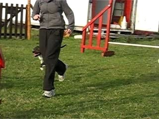 Alpha & ses conneries