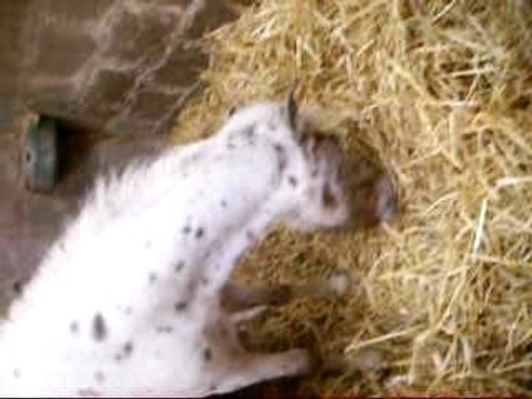 Copie de Photos du cour du mercredi 19 septembre 079