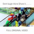 Full FUn with Public place and Shoping Mall to much funny dont laugh alone