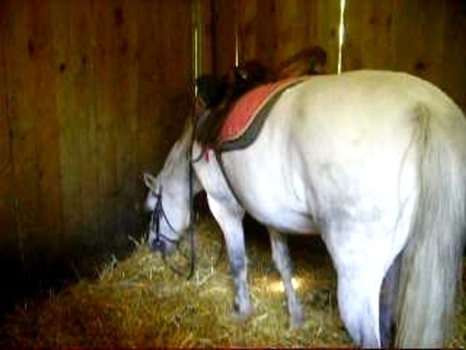 Photos du cour du mercredi 19 septembre 081