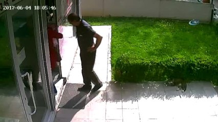 Her Şey Küçük Çocuğun Kediye Tekme Atmasıyla Başladı...kavga Anı Kamerada