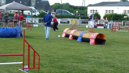 Agility standard Tatale Valognes