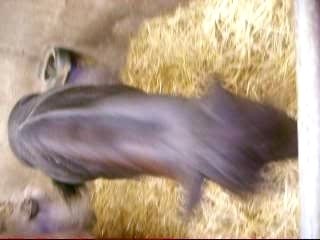 Photos du cour du mercredi 19 septembre 078