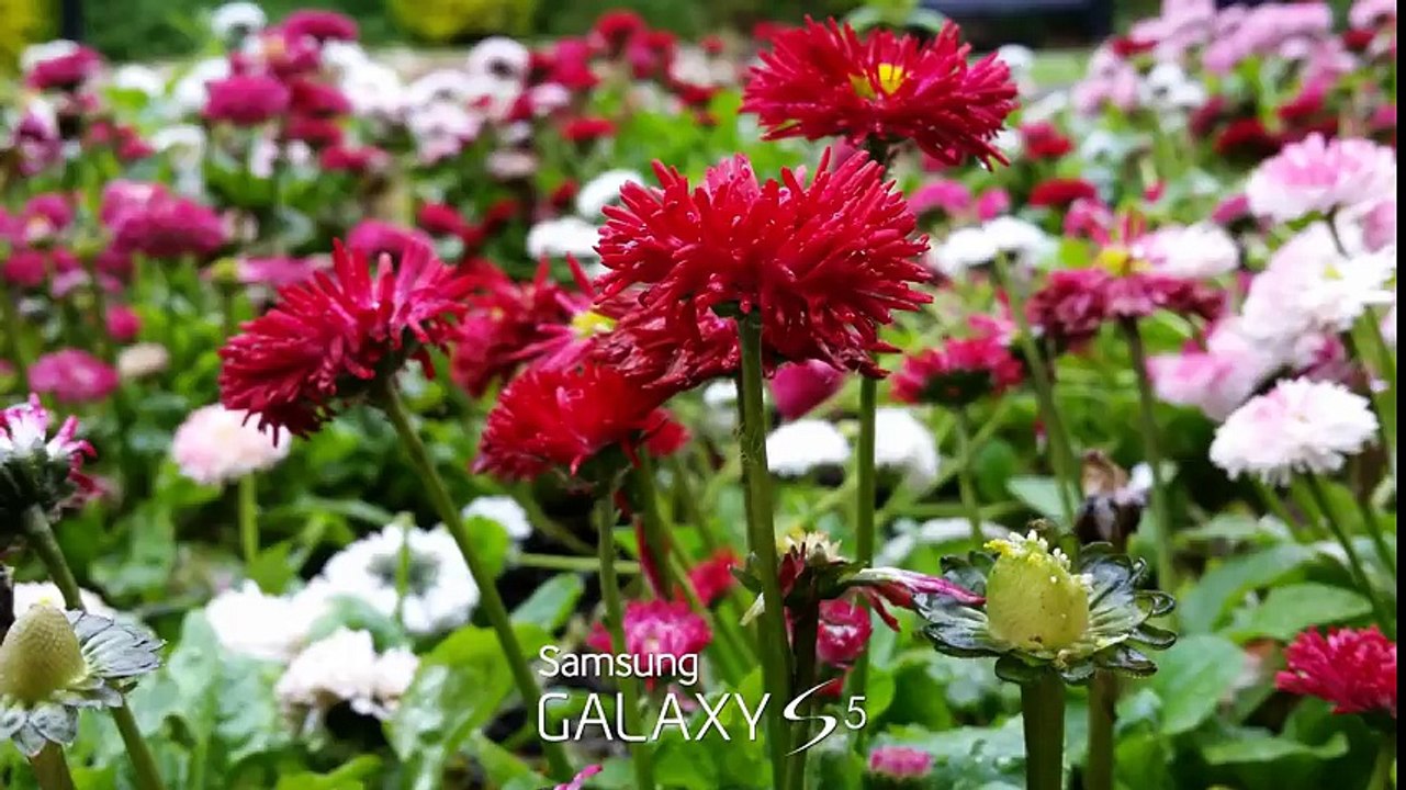 Samsung Galaxy S5 vs Samsung Galaxy S4 - Full Comparison