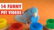 14 Funny Pets | Awesome Pet Video Compilation 2017