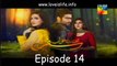 Mohabbat Khawab Safar Episode 14 HUM TV Drama 6 June 2017