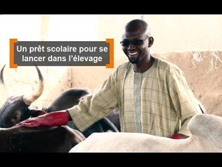 Burkina Faso : Un prêt scolaire pour se lancer dans l'élevage